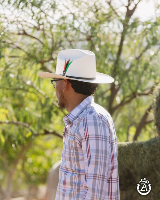 Sombrero 100x San Judas Estilo Sinaloa con Pluma