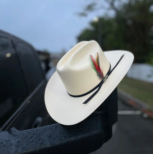 perdonado Nunca saldar Sombrero / Cowboy Hats – Zapateria Alberto
